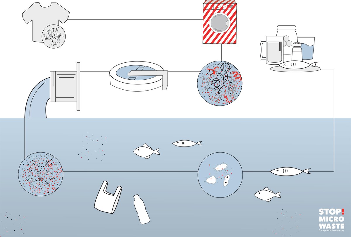 Guppyfriend Waschbeutel Alle Produkte Bestseller Sport Curvy Men Teen Menstruation Blasenschwäche Curvy Nützliche Helfer Für die Nacht