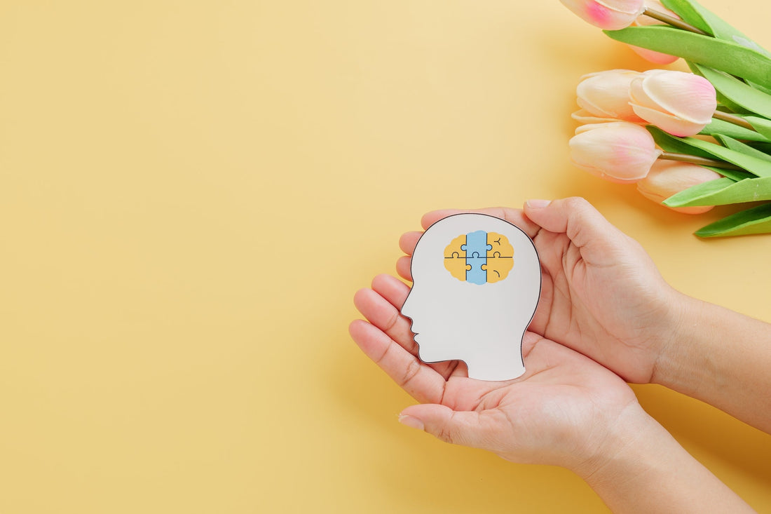 taynie-blog-weibliche-gehirn