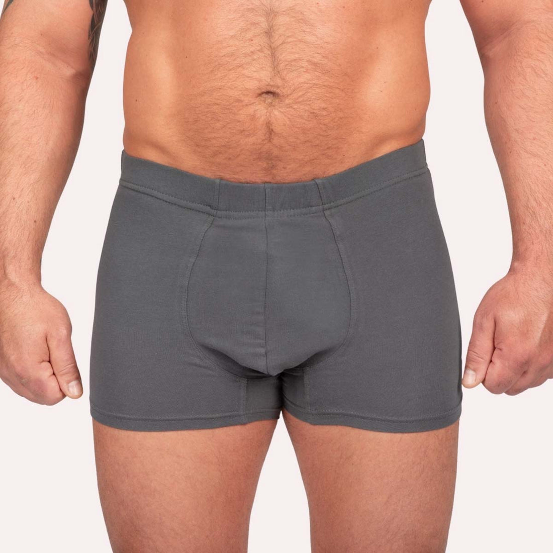 Taynie Herrenboxer grau